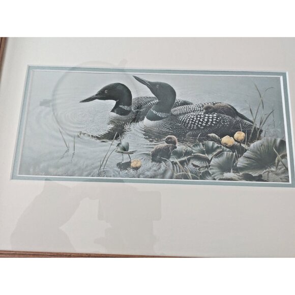 Framed & Matted Michael Dumas Art Print "Bright Water" Loons and Chicks 21 x 17 - Picture 2 of 13